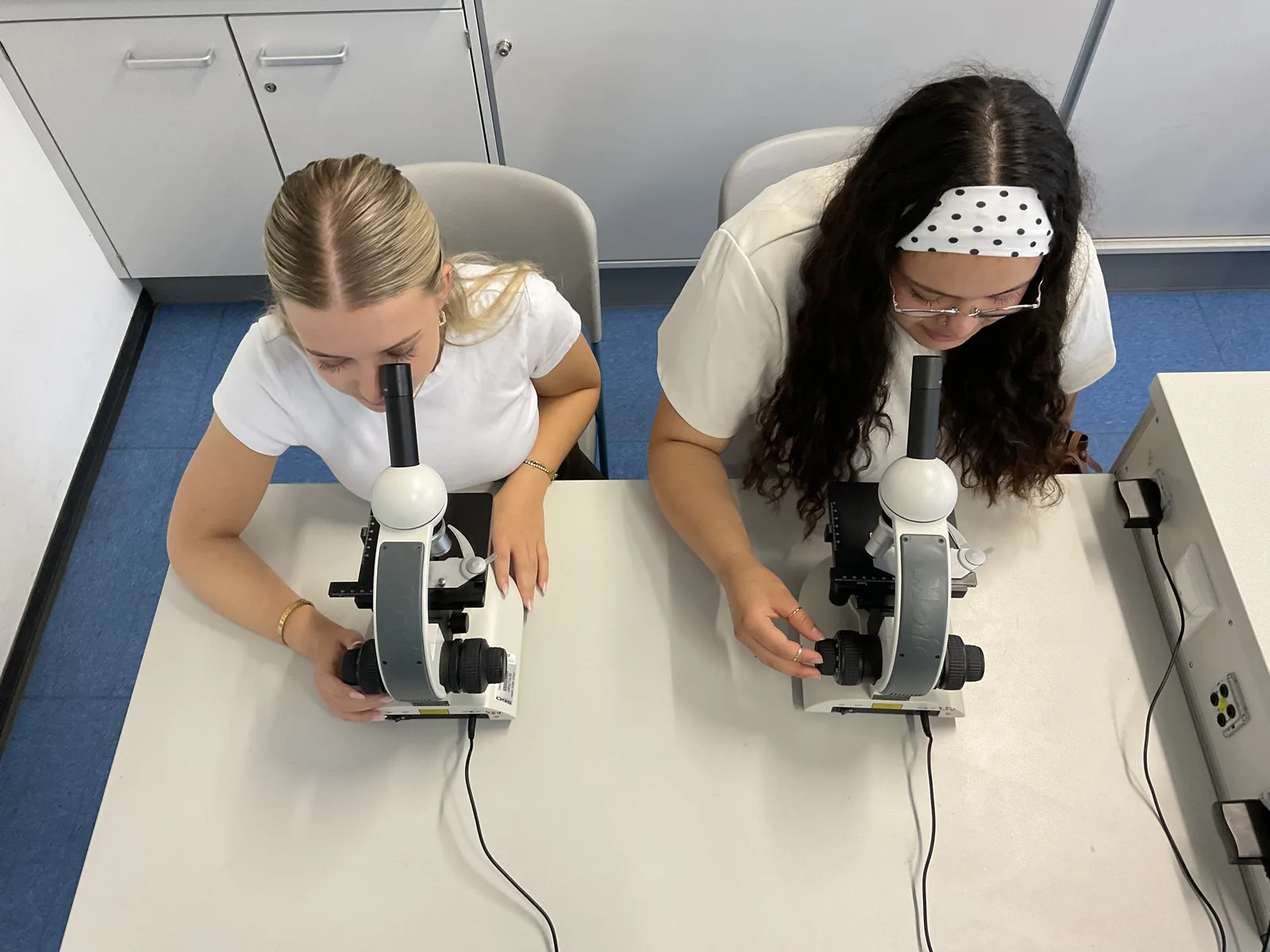 Schülerinnen präsentieren ein Projekt zum Thema Ökologie im Biologieraum