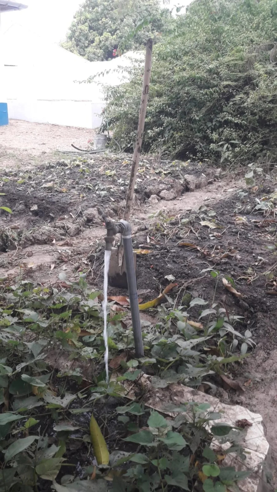 Wasserstelle im Schulgarten