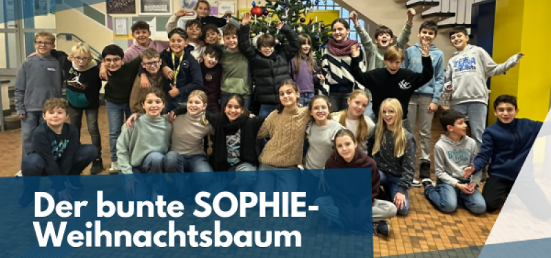 Der bunte SOPHIE-Weihnachtsbaum