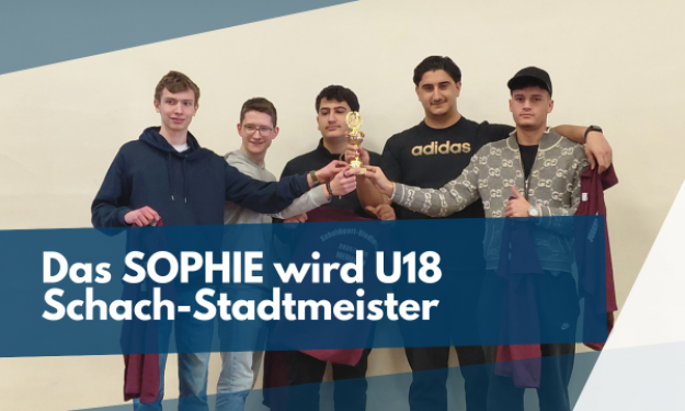 Stadtmeister im Schach